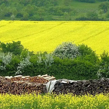 Tranquil Near * Tauberbischofsheim