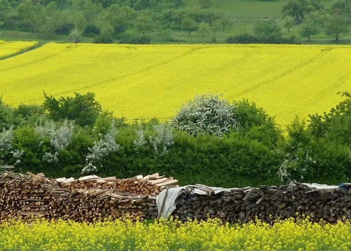 Tranquil Near 陶博比斯霍夫斯海姆